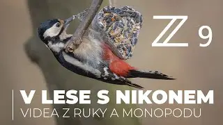 Procházka lužními lesy u Kroměříže s Nikon Z9