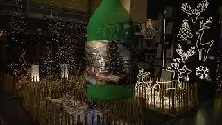 Kerstshow Intratuin apeldoorn 2017