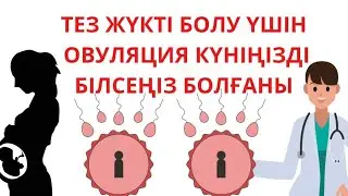 ТЕЗ ЖҮКТІ БОЛУ ҮШІН не істеу керек/ОВУЛЯЦИЯ КҮНДЕРІ