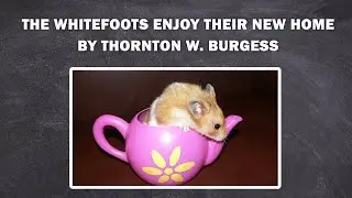 THE WHITEFOOTS ENJOY THEIR NEW HOME - Whitefoot the Woodmouse / to listen the book