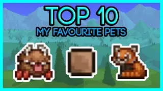 TOP 10 My Favourite Pets in Terraria 1.4.4