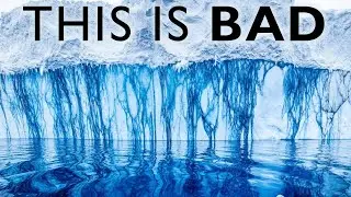 What's Found Under the Antarctic Ice That Has Scientists Very Concerned