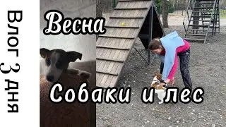 ДОЛГОЖДАННАЯ ВЕСНА/ 3ДНЯ СО МНОЙ