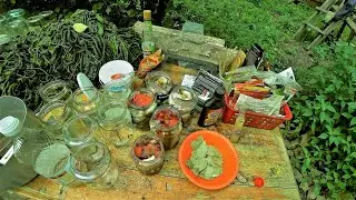 Закручиваем тушенку с дикого мяса и консервы с хариуса. СТРОИМ ЗИМОВЬЕ!