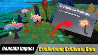 Crisântemo Brilhante Rota com todos os locais Genshin Impact