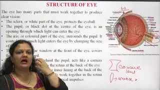 Structure And Functions of Eye