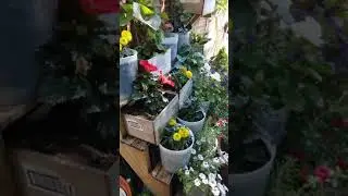 Наш Двор