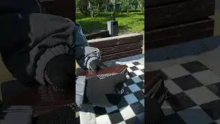 Барсетка из живота кожи крокодила коричневая