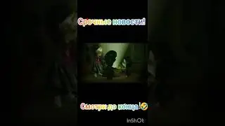 Срочные новости!! #барбоскинымем #мем#shorts #мемы