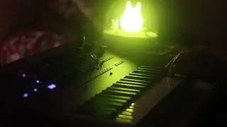 You can use my light | Korg Minilogue xd