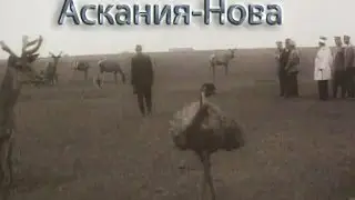 Таврида. Заповедник Аскания-Нова. 1914 год. Визит Николая II в заповедник в апреле 1914 г.