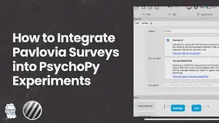 Pavlovia Surveys Standalone Routine