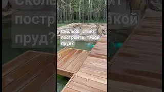 СКОЛЬКО СТОИТ построить ПРУД ДЛЯ ПЛАВАНИЯ и РЫБАЛКИ? 