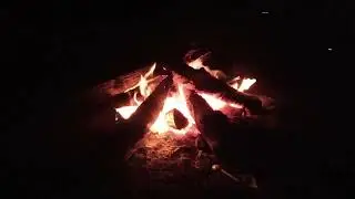Campfire at Night – Free 4K Stock Footage for Creators