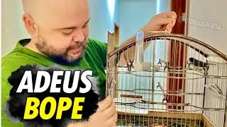 PERDEMOS O COLEIRO BOPE