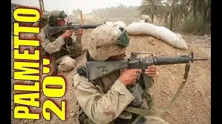 Palmetto PA15 20 inch: Unbelievable Performance for $575