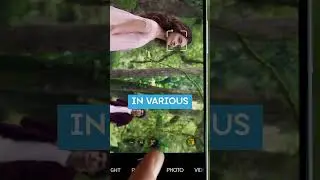 HONOR 200 Lite Camera MAGIC Revealed!