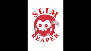 Slim Reaper x Anthang (Official Audio)
