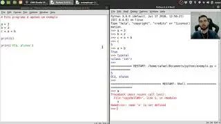 Diferenças entre o python shell e o editor de programas no IDLE (COM110 - UNIVESP)
