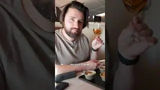 Japan Airlines First Class is HUGE