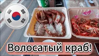 Пробуем волосатого краба! Домик напротив маяка^^