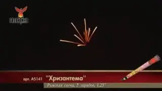 Хризантема (1,2