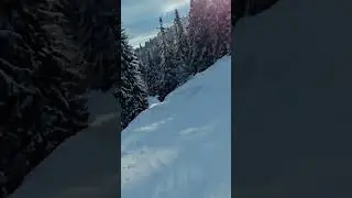 г.Тростяна 21.01.2024