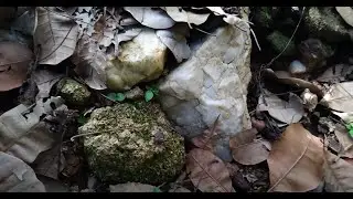 find gems , tìm đá quý trên núi