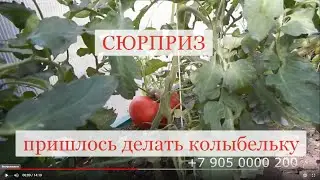 Ну  Лена  даёт,приятная неожиданность, пришлось делать колыбельку