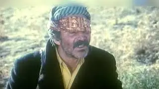 "Mooye" From Avinar OST by Majid Entezami (Scene Music Video)