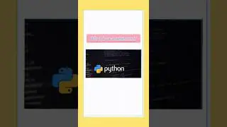 statement in python || short