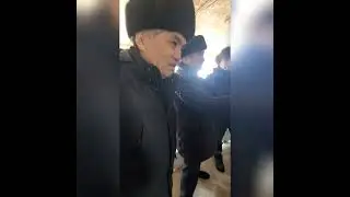 Қойды жылына 2-3 рет қалай төлдетуге болады? Қазақ ғалымдарының селекция жүргізудегі жетістіктері