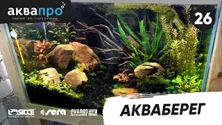26. Акваберег 