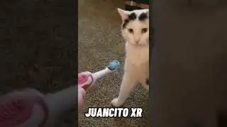 😂 VIDEOS DE RISA 😂 2023*