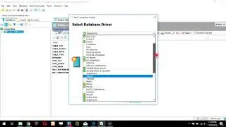 DbVisualizer Pro Connect to PostgreSQL Server