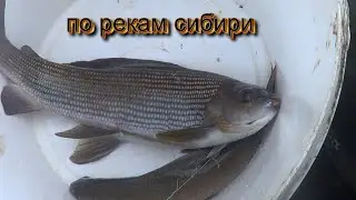 ОСЕННИЙ КЛЕВ. НЕ РЫБАЛКА А СКАЗКА Ч.1