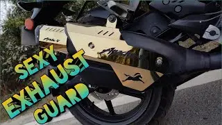 GOLDEN EXHAUST COVER & RADIATOR GUARD APACHE RTR 4V || REJA VLOGS || GR REJA