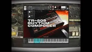 TR-808 VST: Rhythm Composer | TXVXN VST