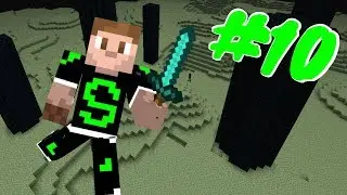 ENDER DRAGON STO ARRIVANDO! + DOWNLOAD - #10 Minecraft ITA