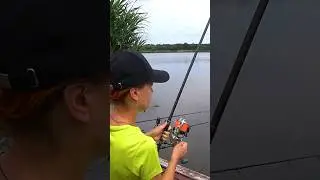 Коропова риболовля #fishing