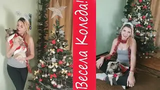 ❄ УКРАСЯВАМ ЕЛХА ❄