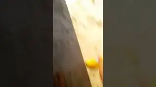 La po de banana...