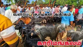 காரிமங்கலம் ஆட்டு சந்தை தருமபுரி மாவட்டம் வளர்ப்பு குட்டிகள் அதிகம் உள்ளது சந்தையில்