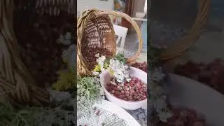 #shorts Лето! Счастливый день! Эх! #music #remix #newmusic #моисадовыеромансы