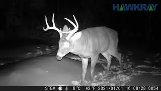 Hawkray Trail Camera 20MP 1080P