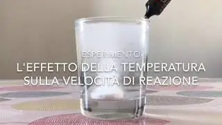 LSOSA-lab - Esperimento sulla velocità di reazione