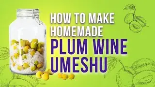 Making Homemade Umeshu (Plum Wine) in Japan 🌸🥂