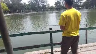 TRIK SUPAYA DAPAT IKAN BANYAK KETIKA MEMSNCING DI KOLAM.