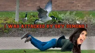 STORY TIME - I Was Attacked By Geese After Giving Birth!!!