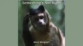 Something's Not Right - Alice Minguez
